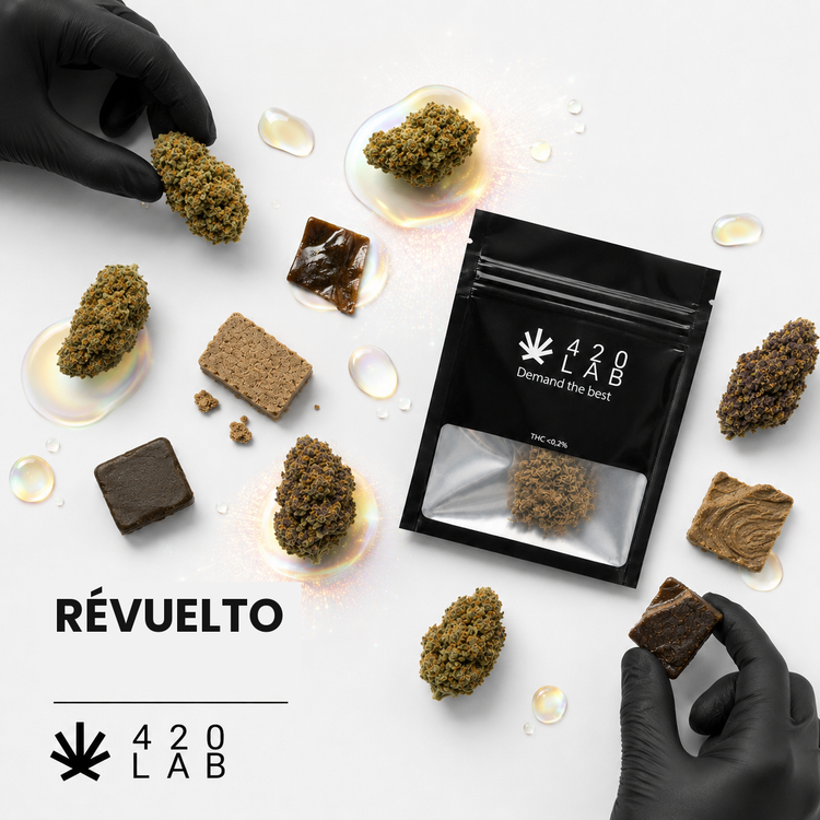 Révuelto