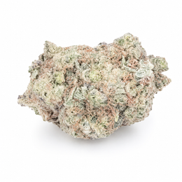 Cake Berry Fleur CBD Classique Indoor, Grossiste B2B