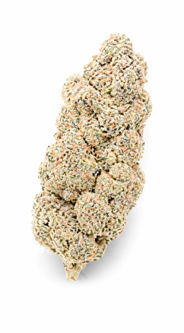 Gorilla Glue Fleur CBD Premium Indoor, Grossiste B2B