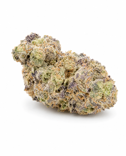 London Pound Cake Fleur CBD Premium Indoor, Grossiste B2B